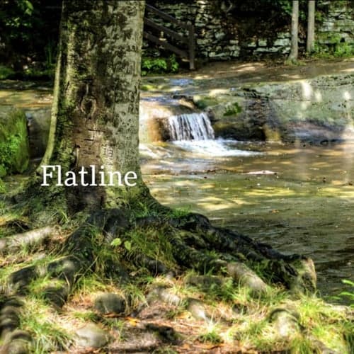 Flatline (Live Room)