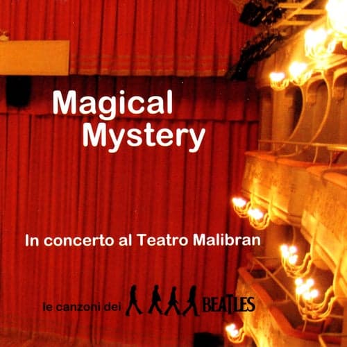 Concerto Al Teatro Malibran