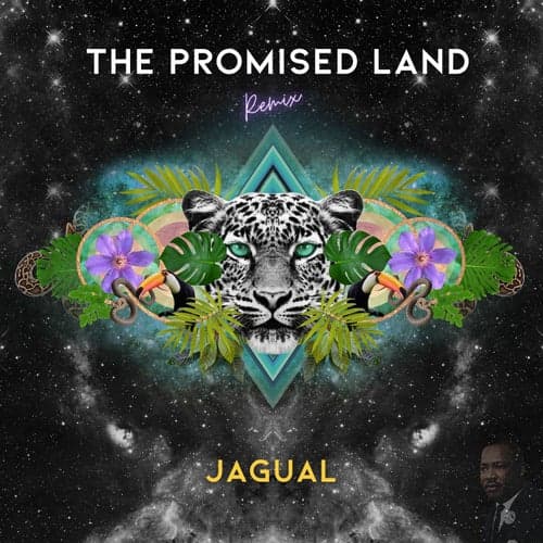 The Promised Land (Remix)