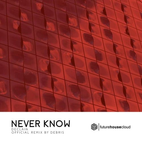 Never Know (Debris Remix)