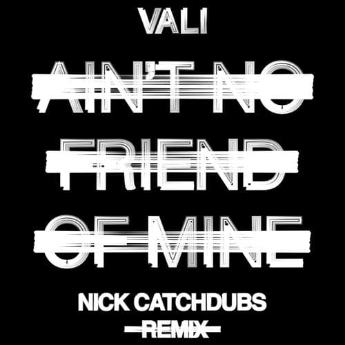 Ain't No Friend Of Mine (Nick Catchdubs Remix)