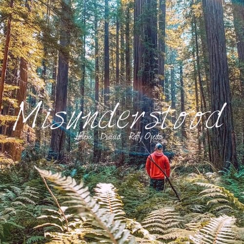 Misunderstood (feat. Disisid & Raffy Ojeda)