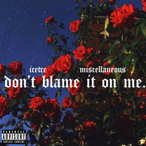 Don't Blame It On Me (feat. Miscellaneous)
