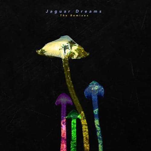 Jaguar Dreams (The Remixes)