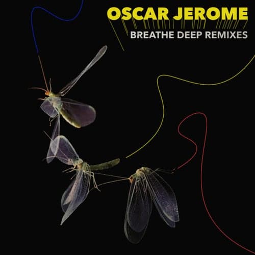 Breathe Deep Remixes