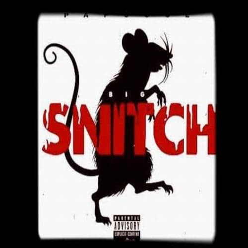 Snitch (feat. Ot Ron) [Snitch]