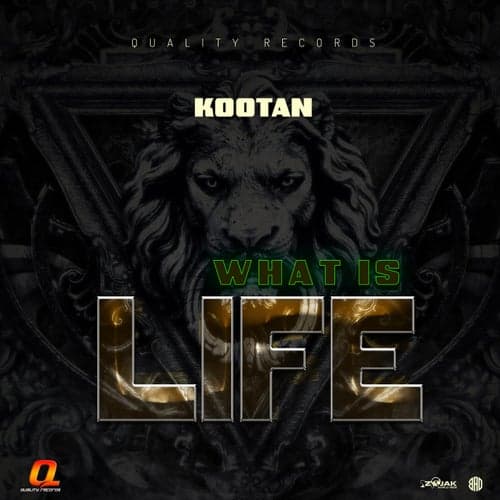 What is Life - Single