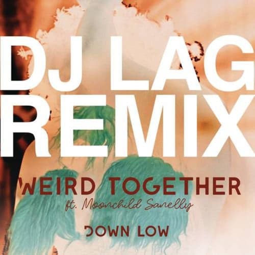 Down Low (DJ Lag Remix Extended)