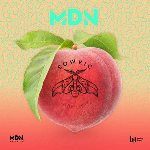 MDN feat. Wolfeat
