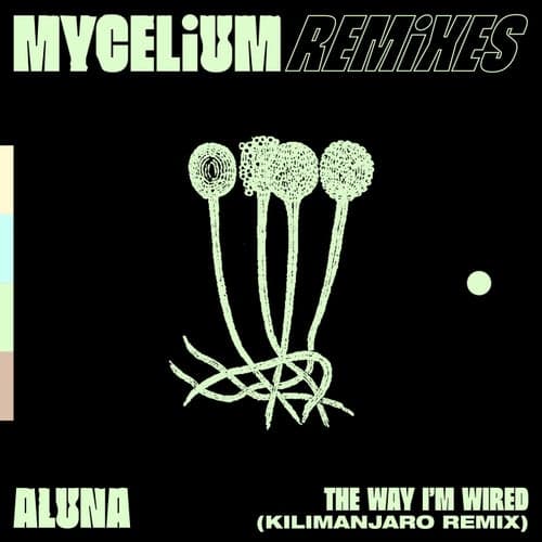 The Way I'm Wired (KILIMANJARO Remix (Extended))