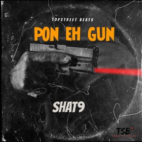 Pon Eh Gun