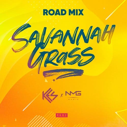 Savannah Grass (N.M.G. Music Road Mix)