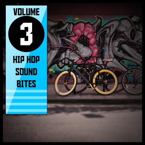Hip Hop Sound Bites,Vol.3