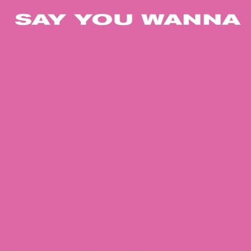 Say You Wanna