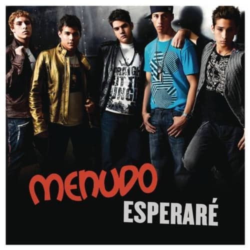 Esperaré (Spanish Version)