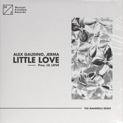 Little Love (pres. Lil' Love) [Teo Mandrelli Remix]