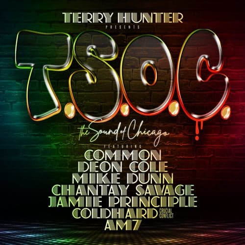 T.S.O.C. (feat. Common, Mike Dunn, Deon Cole, Chantay Savage, Coldhard, AM7, Jamie Principle)