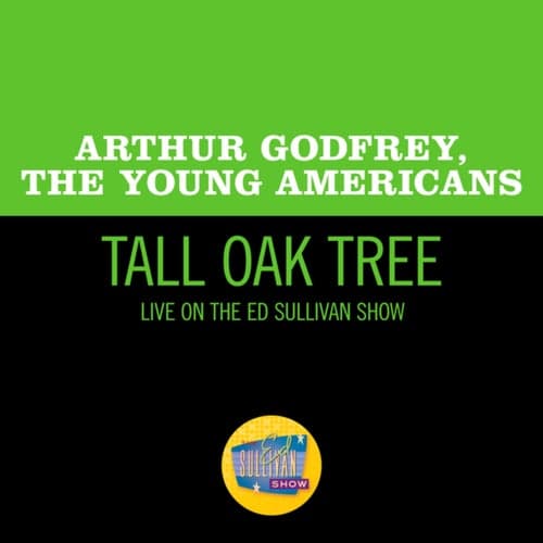 Tall Oak Tree