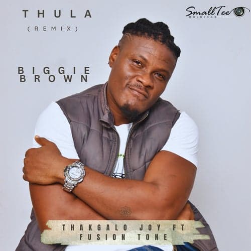 Thula (feat. Fusion Tone & Biggie Brown) [Remix]