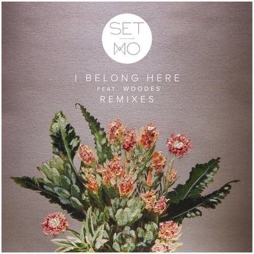 I Belong Here (Remixes)