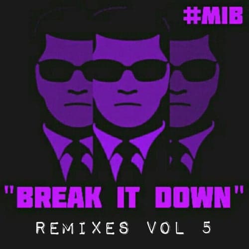 Break It Down (Remixes, Vol. 5)
