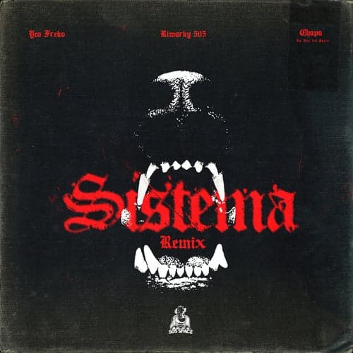 Sistema (Remix)