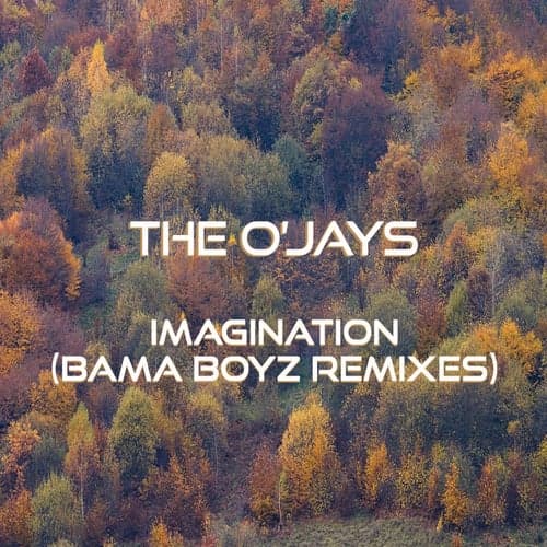 Imagination (Bama Boyz Remixes)