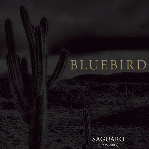 Saguaro (1995-2003)