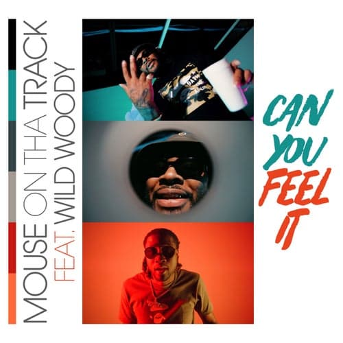 Can You Feel It (feat. Wild Woody)