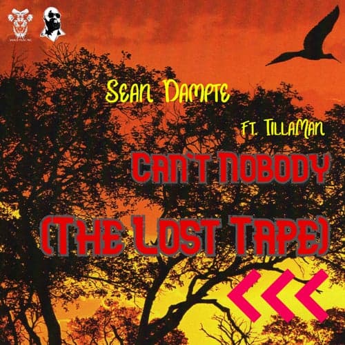 Can't Nobody (The Lost Tape) (feat. TillaMan)
