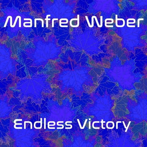 Endless Victory