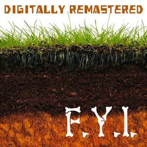 F.Y.I. (Digitally Remastered)