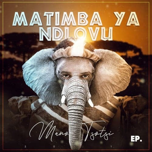 Matimba Ya Ndlovu