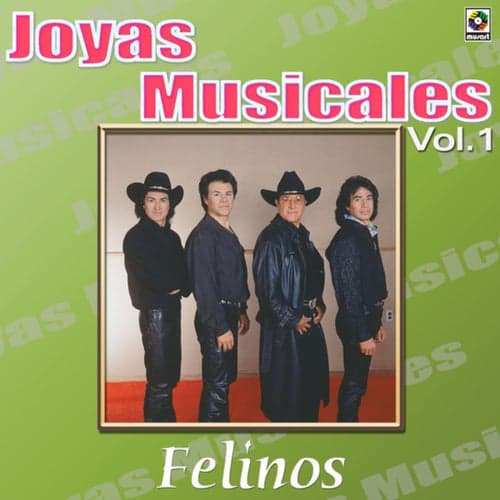 Joyas Musicales: Se Ponen Románticos, Vol. 1