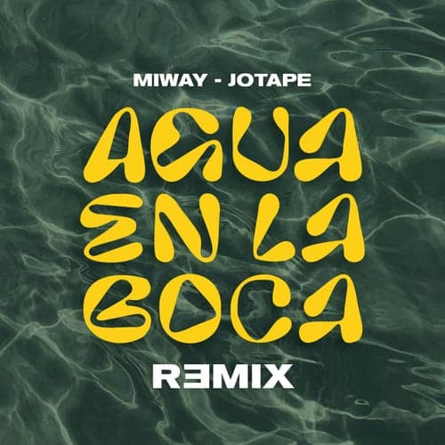 Agua En La Boca (Remix)