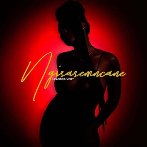 Ngisasemncane (feat. Nkulee501, Skroef28)