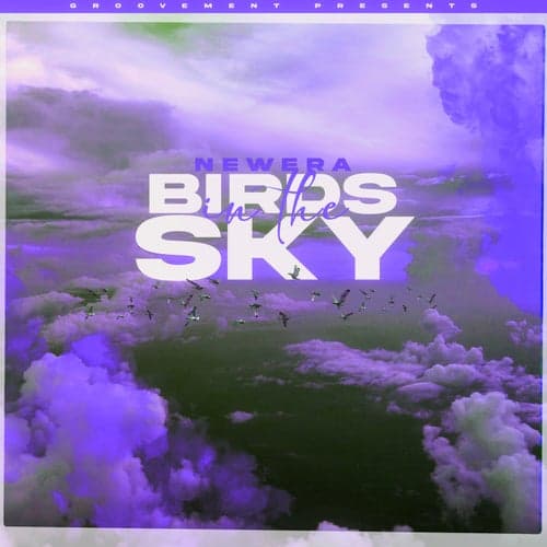 Birds In The Sky (Tays & Charva Boys Remix)